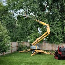 Best Lawn Maintenance Plans  in Three Rivers, CA